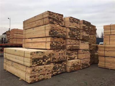池州木材加工产业