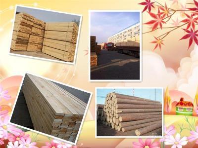 鹤壁建筑木材加工木方