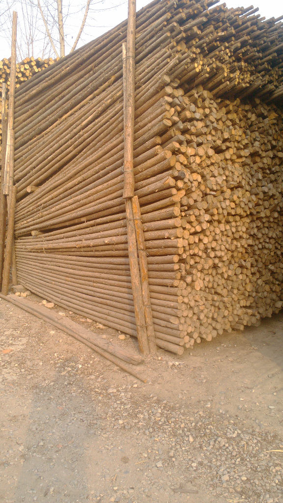 福建杉木杆在北京销售-北京芦程京成木材销售部