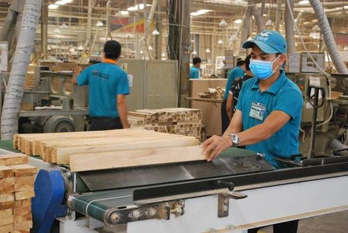 国际观察 为应对疫情风险,越南木材加工企业联合完善出口供应链