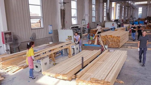 山东菏泽木材加工产值1330亿元